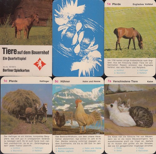 Berliner tiere auf dem - berliner,