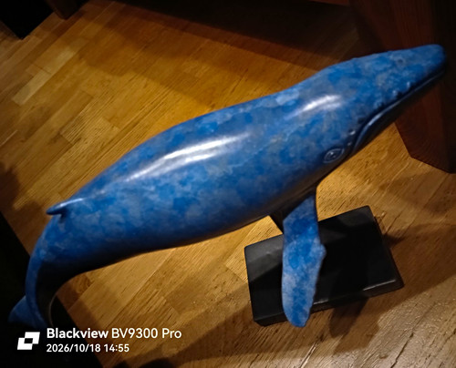 Bronze ruchos blauwal skulptur - bronze,